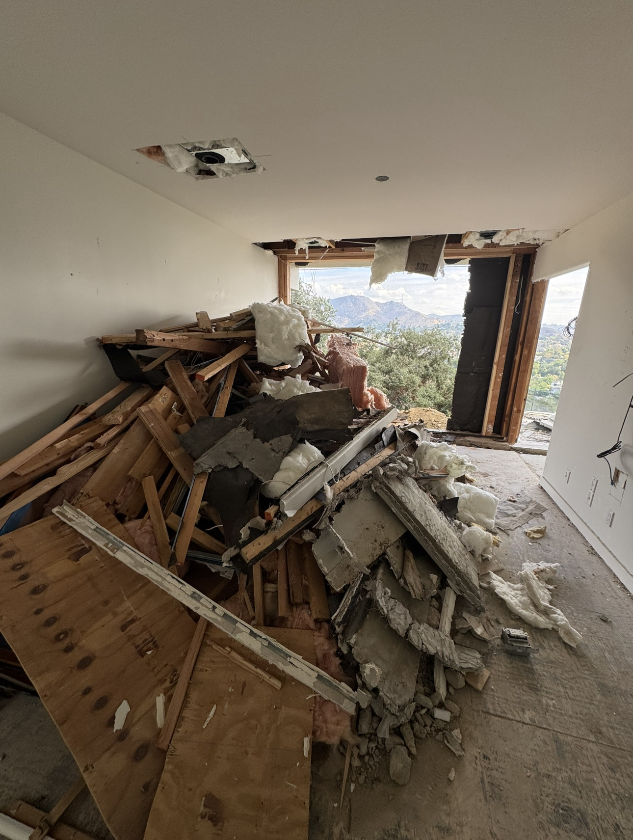 Garage Cleanout before